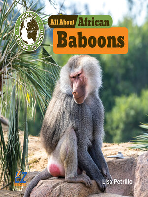 cover image of All About African Baboons